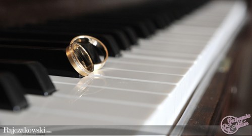 gia19