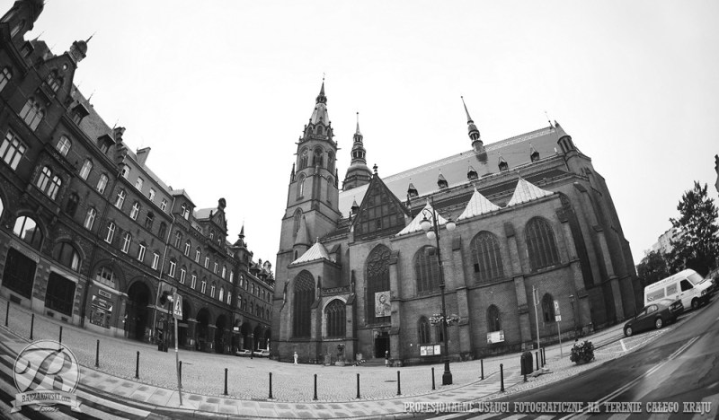 07frank