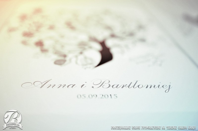 001aibb