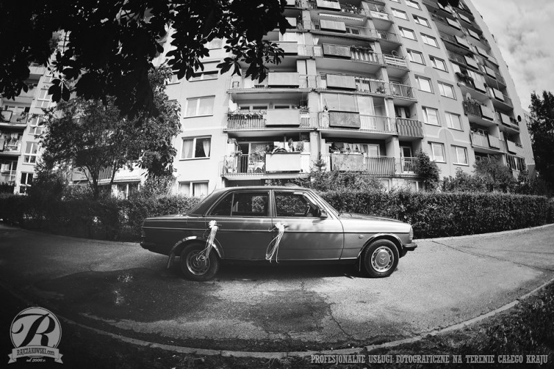 wroant042