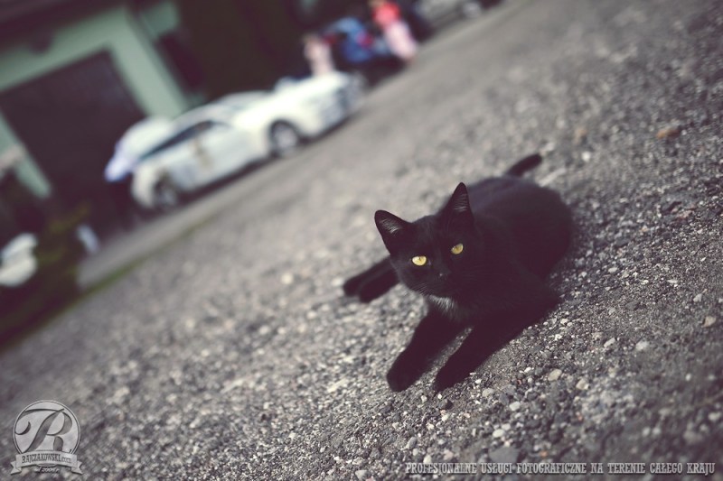 mipskie025